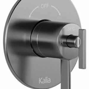 RoundOne 2-Way Thermostatic Valve with Coaxial Diverter and Trim - Pure Nickel BF1585-125 Kalia