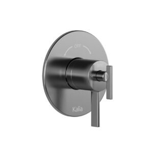 RoundOne 2-Way Thermostatic Valve with Coaxial Diverter and Trim - Chrome BF1585-110 Kalia