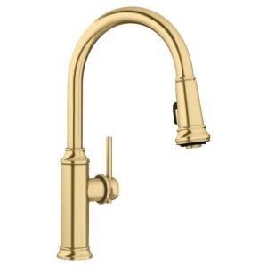 Empressa Kitchen Faucet with Pulldown Spray - Satin Gold 442980 Blanco
