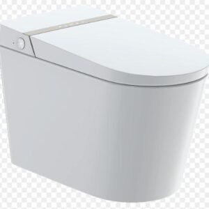 Intelligent 1-Piece Dual Flush Elongated Bidet Toilet - White IN6018E Duval