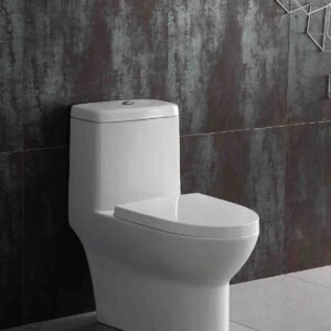 Standard Dual Flush One-Piece Toilet - White BT0915-TDF Duval
