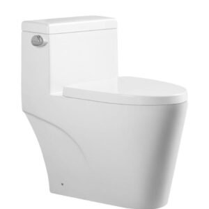 Simmons 4.8L 16.5" Standard Height One-Piece Toilet - White BT1016548 Duval