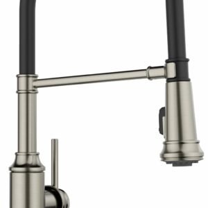 Empressa Semi-Pro Kitchen Faucet with Pulldown Spray - Satin Platinum 443246 Blanco