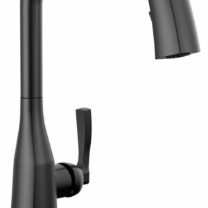 Stryke Touchless VoiceIQ Kitchen Faucet with Pulldown Spray - Matte Black 9176TLV-BL-DST Delta