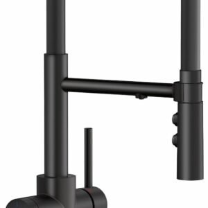Catris Flexo Semi-Pro Kitchen Faucet with Filter & Pulldown Spray - Matte Black 442992 Blanco