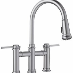 Empressa Bridge Kitchen Faucet with Pulldown Spray - Stainless 442505 Blanco