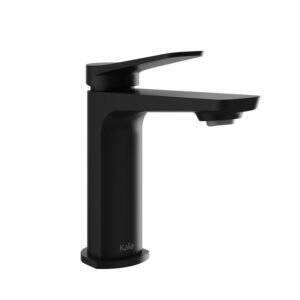 Moroka Single Hole Bathroom Faucet & Overflow 1.5 GPM - Matte Black BF1911-160 Kalia