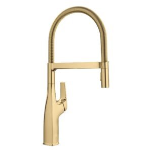 Rivana Semi-Pro Kitchen Faucet with Pulldown Spray - Satin Gold 442984 Blanco
