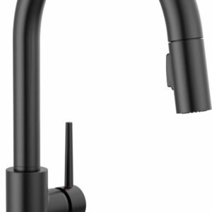 Trinsic VoiceIQ Touch Kitchen Faucet with Pulldown Spray - Matte Black 9159TV-BL-DST Delta