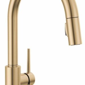 Trinsic Touchless VoiceIQ Kitchen Faucet with Pulldown Spray - Champagne Bronze 9159TLV-CZ-DST Delta