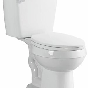 Heron 4.8L Standard Height Round Front 2-Piece Toilet - White BDL-B4015R/T40348 Duval