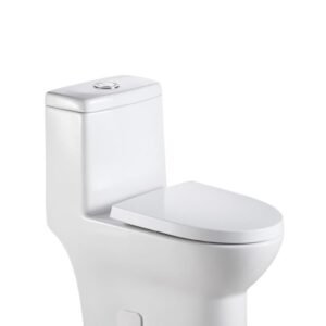 Gallant Comfort Height 1-Piece 16-1/2" Dual Flush Toilet - White BT09165-TDF Duval